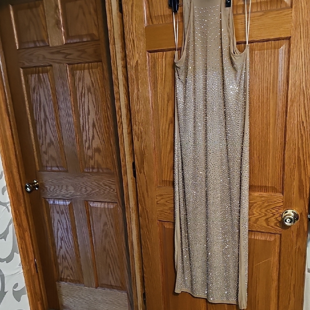 Sparkling Tan Sleeveless Dress